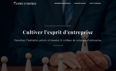 https://www.esprit-entreprises.com